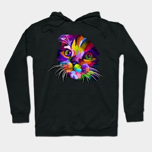 Colorful cat Hoodie